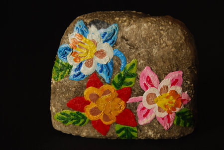 rock flowersの写真素材