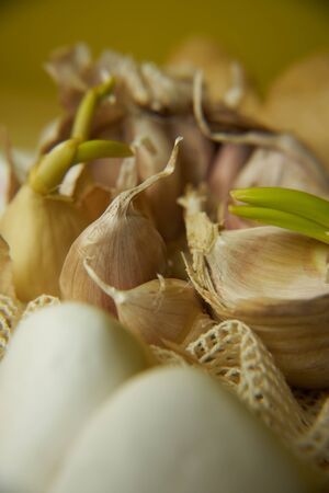 Composition with flowering garlicの写真素材
