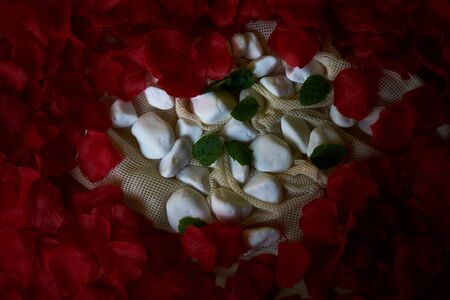 Earrings on the shop window.の写真素材