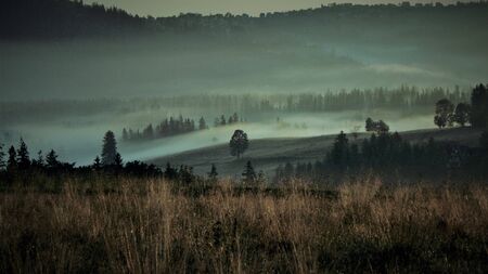 Landscape in the Subcarpathian region during sunrise.の写真素材