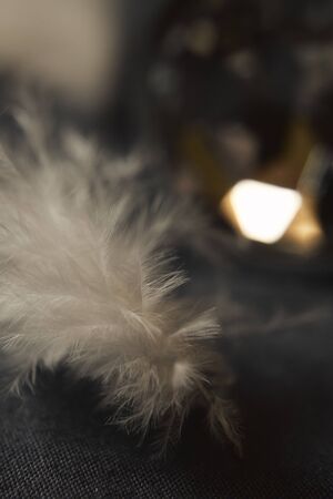 Feather closeup background.の写真素材