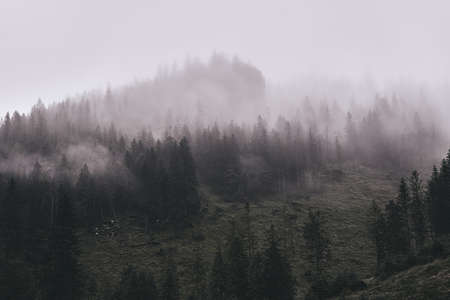 Tatra mountains landscapesの写真素材