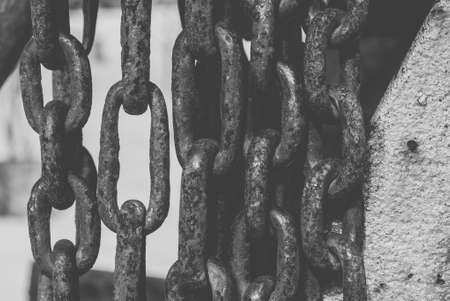 tree rusty chains, over a white background, frame, hanging, icon linked seamlessの写真素材