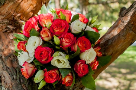 Bride bouquet, natural, rose, style bunch holiday color dayの写真素材