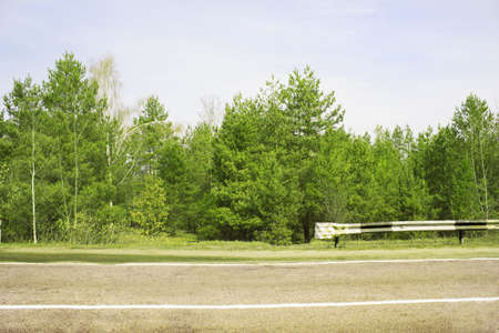 green tree
