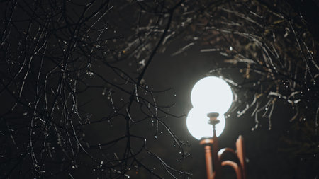 A Beautifully Illuminated Street Lamp Surrounded by Dark, Twisted Branches After Twilight