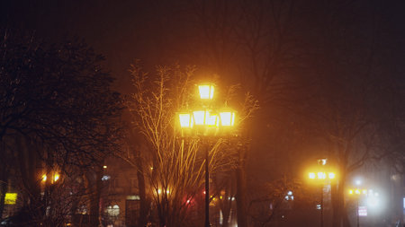 A Serene and Misty Night Scene Featuring Beautifully Illuminated Street Lights and Trees