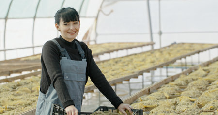 A young woman is in a greenhouse passionately cultivating and nurturing various plantsの写真素材