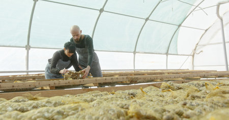 Cultivating Organic Vegetables in a Greenhouse Environment for Optimal Growth and Health,の写真素材