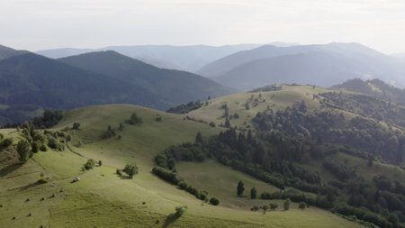 Dappled Light Over Carpathian Mountain Pastures and Woodlands