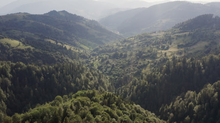 Sunlit Aerial Panorama of the Lush Carpathian Mountain Range