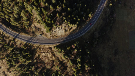 Aerial Shot of Winding Road Cutting Through a Lush Forest
