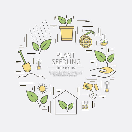 Growing plants web banner.の写真素材