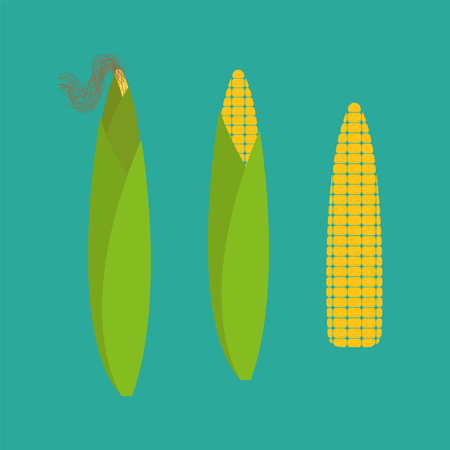 Corn icon isolatedのイラスト素材