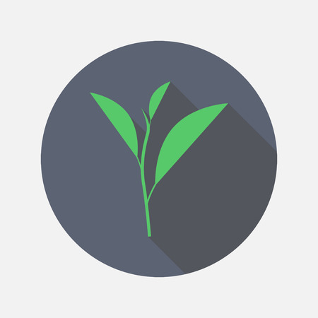 leaf tea flat iconのイラスト素材