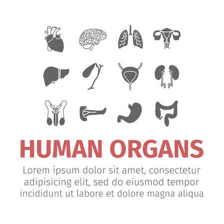 Human organs icons set.のイラスト素材