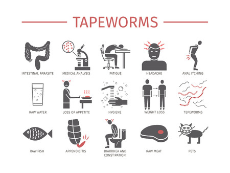 Tapeworms. Symptoms, Treatment. Flat icons set. Vector signsのイラスト素材