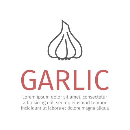 Garlic line iconのイラスト素材