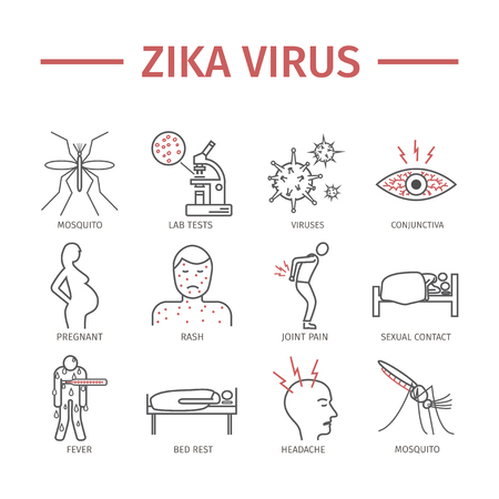 Zika Virus line icon Infographics. Symptoms, Vector signs for web graphics.のイラスト素材
