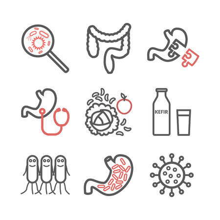Gut flora. Line icons set. Vector signs for web graphics.のイラスト素材