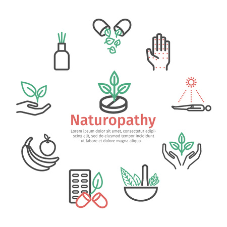 Alternative Medicine banner. Naturopathy line icons. Vector sign for web graphic.のイラスト素材
