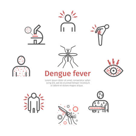 Dengue fever line icons set. Vector signs for web graphics.のイラスト素材