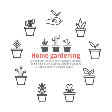 Set of plants in a pot. Banner icons. Vector signs for web graphics.のイラスト素材