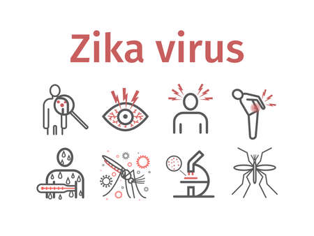 Zika Virus line icon Infographics. Symptoms, Vector signs for web graphics.のイラスト素材