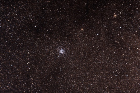 Star cluster Known as wild