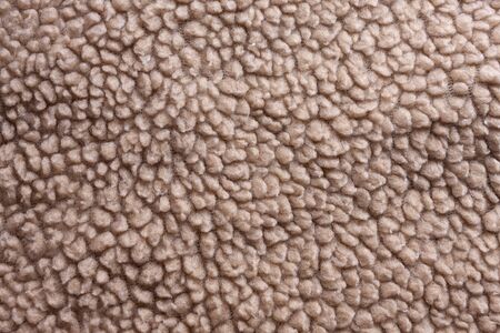 close-up view of the hidden side of a jacket, made of cotton