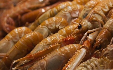 a lot of spawns in a street marketの写真素材