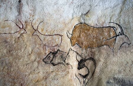 cave painting is a remains of first human culturesの写真素材