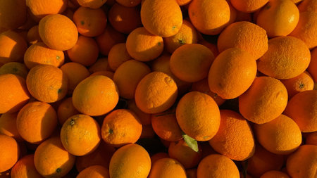 Real Oranges. Many Juicy Oranges. Fresh Orange Fruits as Background. Top View