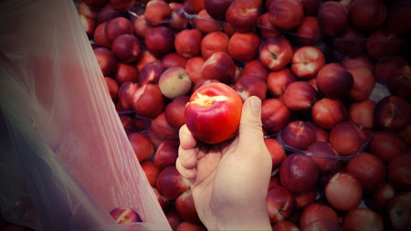 Juicy Ripe Red Nectarine in the Male Hand. Buying Fruitsの写真素材
