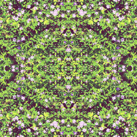 Beautiful vibrant little pink flowers bloom on a green bush. Outdoor. Landscaping. Symmetrical Kaleidoscope Effectの写真素材