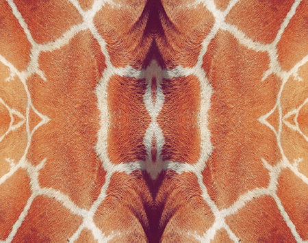 Giraffe skin pattern, close-up, symmetrical image, texture of furの写真素材