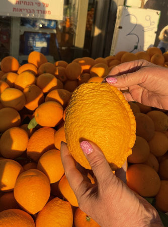 An abundance of ripe and succulent oranges fills the background, illuminated by a sunny and warm...