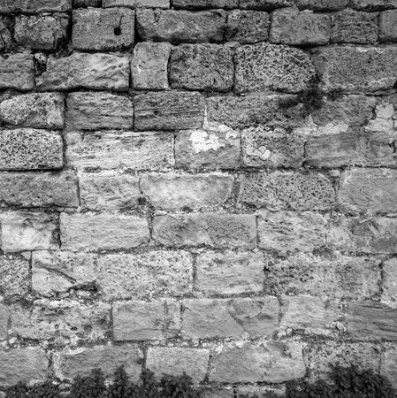 Old Stone Wall Texture in Black and White