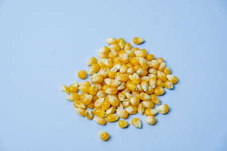 Set of spices isolated on blue backgroundの写真素材