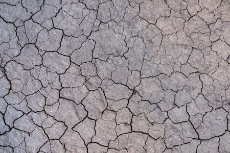 Soil cracked background.Land in dry season.