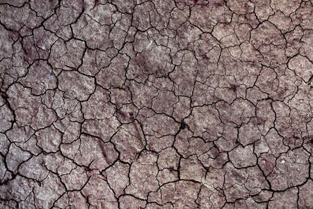 Soil cracked background. Dirt in dry season.の写真素材