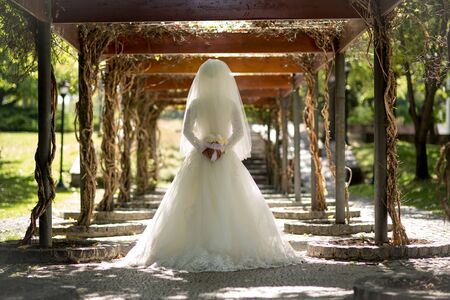 Bride and Bride Dress