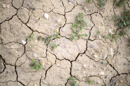 A delicate photo of drought