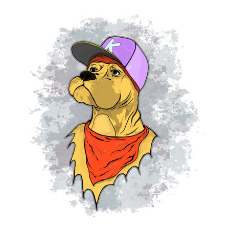 proud boxer dog in a baseball capのイラスト素材