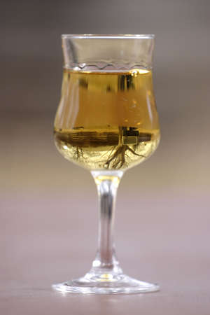 tree in a whiskey glassの写真素材