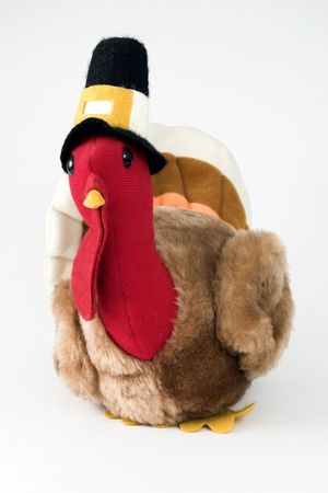 Stuffed toy turkey.の写真素材