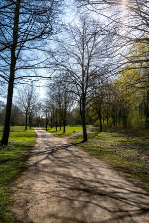 Cologne, NRW, Germany - 31. March 2020 - A city park with no people because of Covid-19 restrictions and home quarantineのeditorial素材