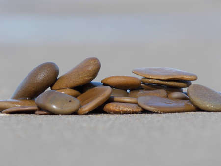 Sea stones on a soft backgroundの写真素材