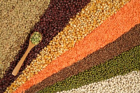 Cuisine choice. Cooking ingredients. Beans, peas, lentils.の写真素材