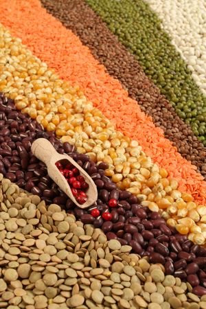 Cuisine choice. Cooking ingredients. Beans, peas, lentilsの写真素材